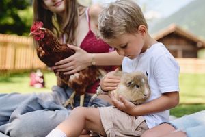 Kinder mit Meerschweinchen und Huhn im Streichelzoo des Gut Stiluppe